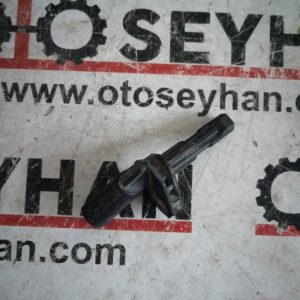 10071162313