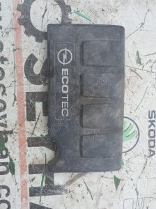 55561431