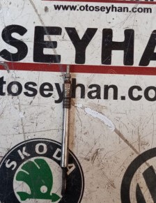 55570037