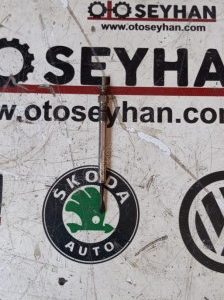 55570037